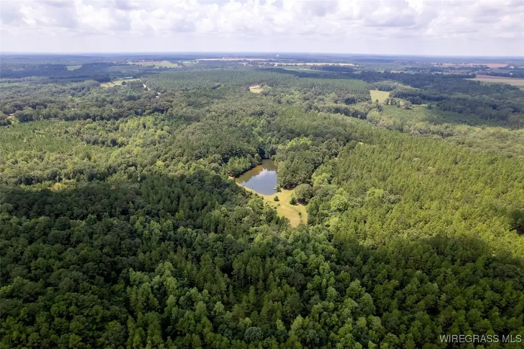 927 Highway 166 Elba AL 36323