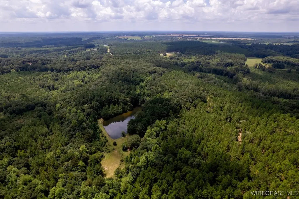 927 Highway 166 Elba AL 36323