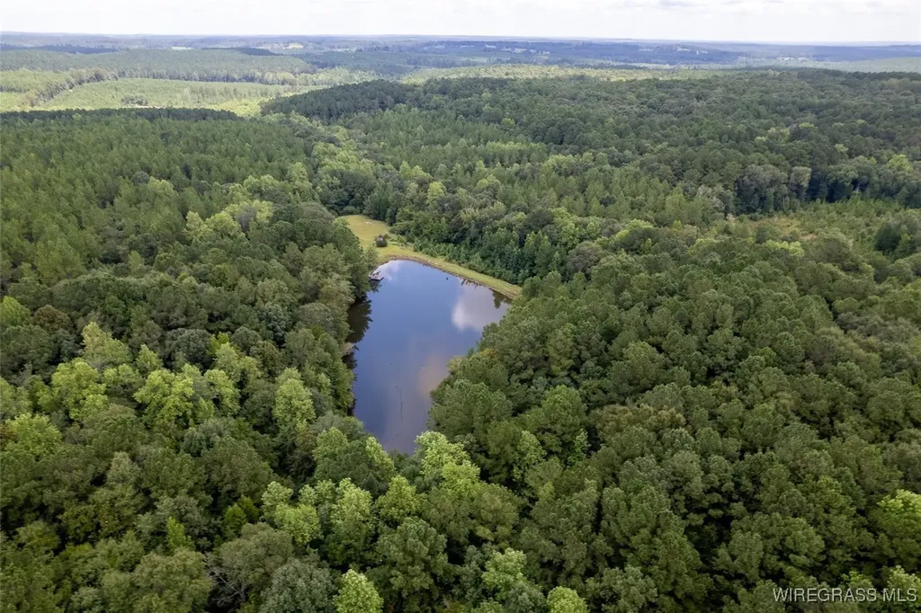 927 Highway 166 Elba AL 36323