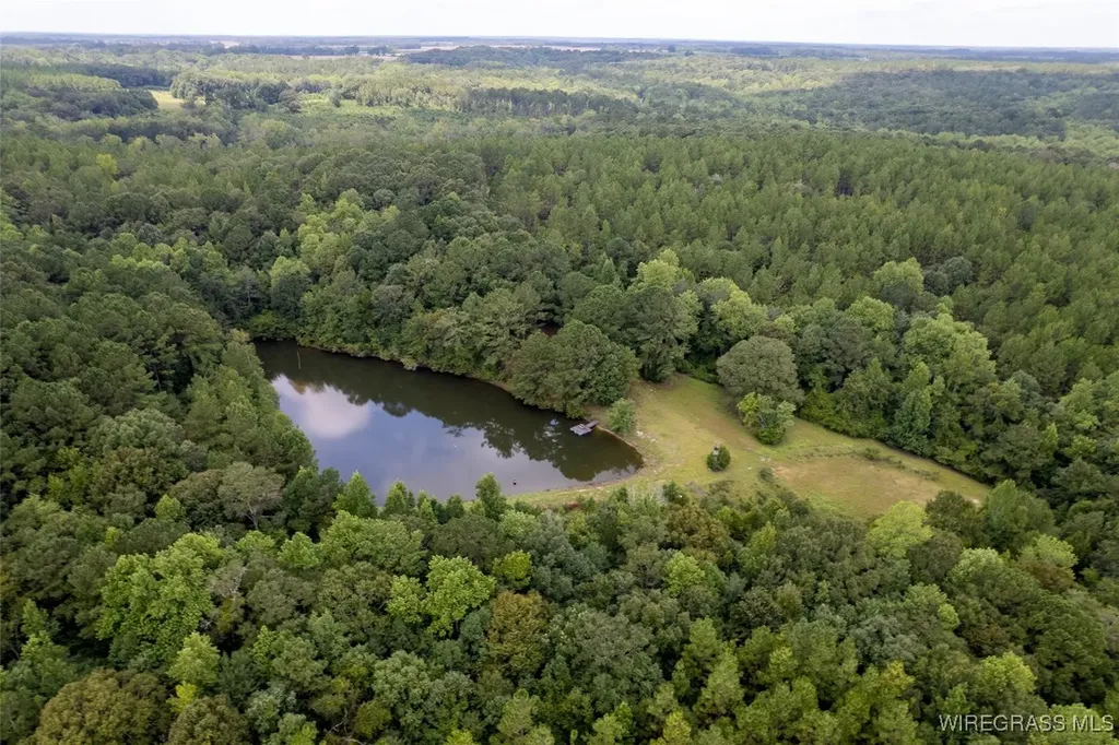 927 Highway 166 Elba AL 36323