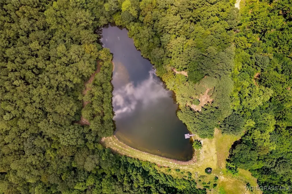 927 Highway 166 Elba AL 36323