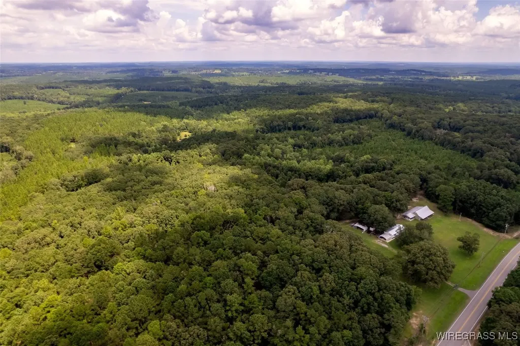 927 Highway 166 Elba AL 36323