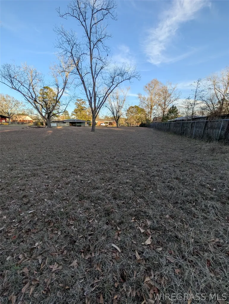 714 S Main Street Headland AL 36345