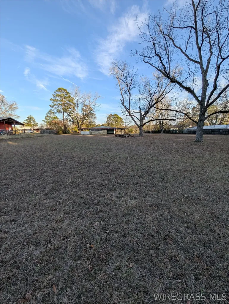 714 S Main Street Headland AL 36345