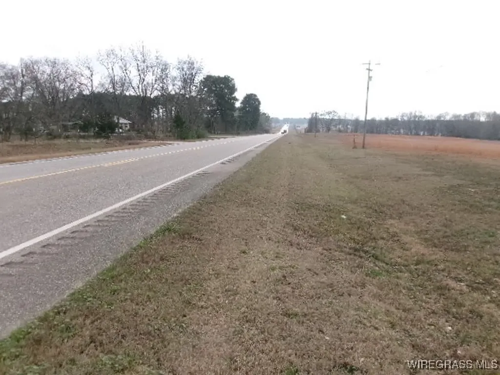 8995 Montgomery Highway Luverne AL 36049