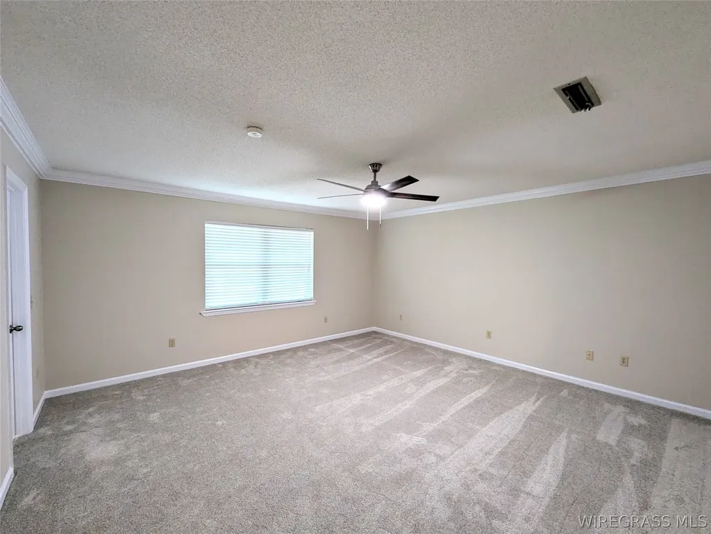 3117 Holland Road Newton AL 36352