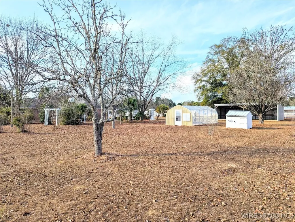 3117 Holland Road Newton AL 36352