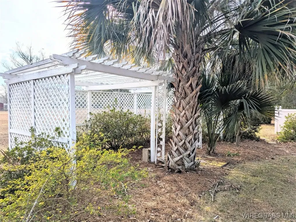 3117 Holland Road Newton AL 36352