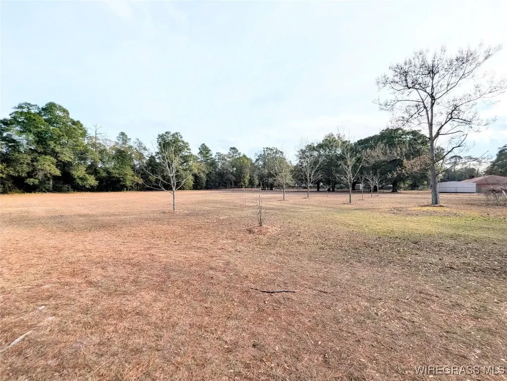 3117 Holland Road Newton AL 36352