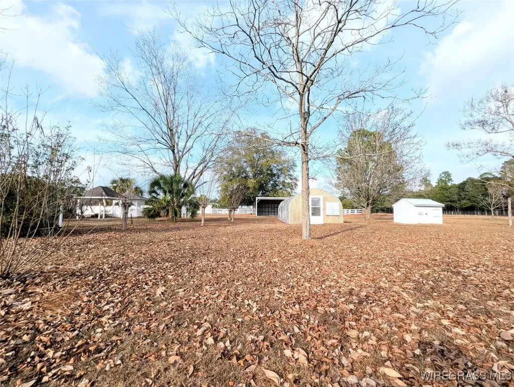 3117 Holland Road Newton AL 36352