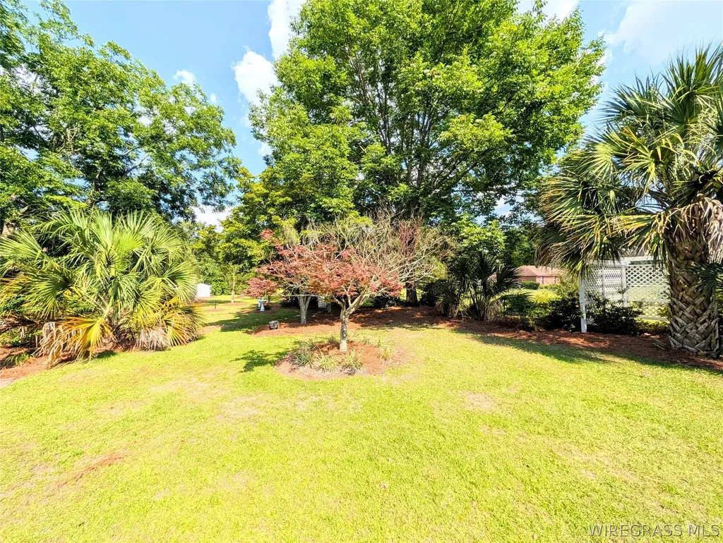 3117 Holland Road Newton AL 36352