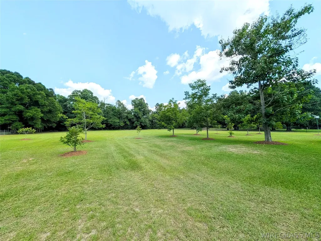 3117 Holland Road Newton AL 36352