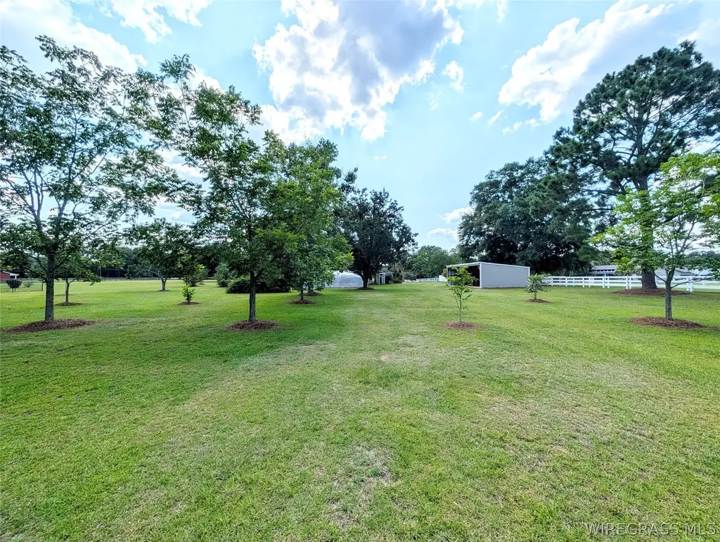 3117 Holland Road Newton AL 36352