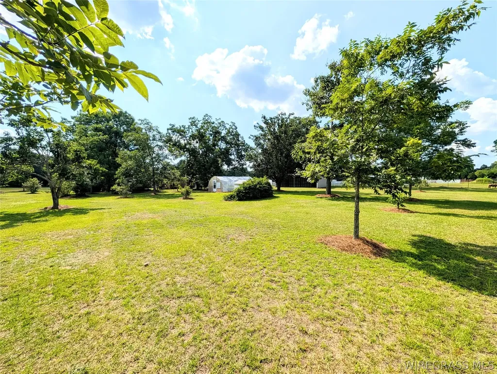 3117 Holland Road Newton AL 36352