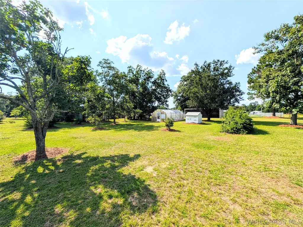 3117 Holland Road Newton AL 36352