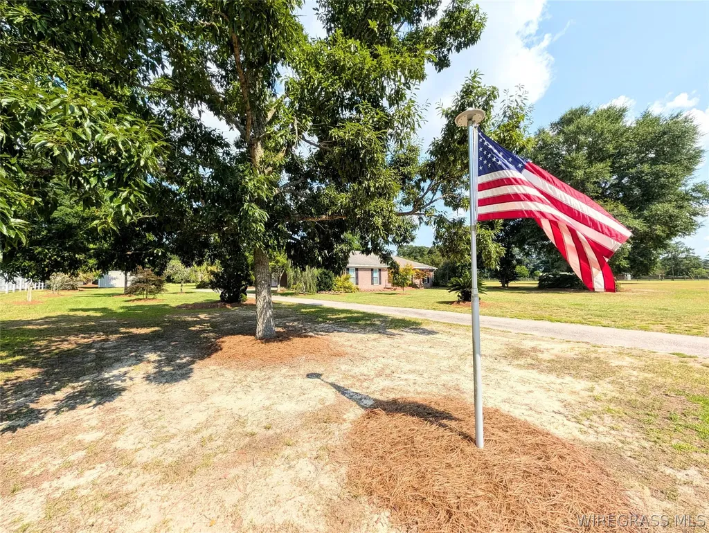 3117 Holland Road Newton AL 36352