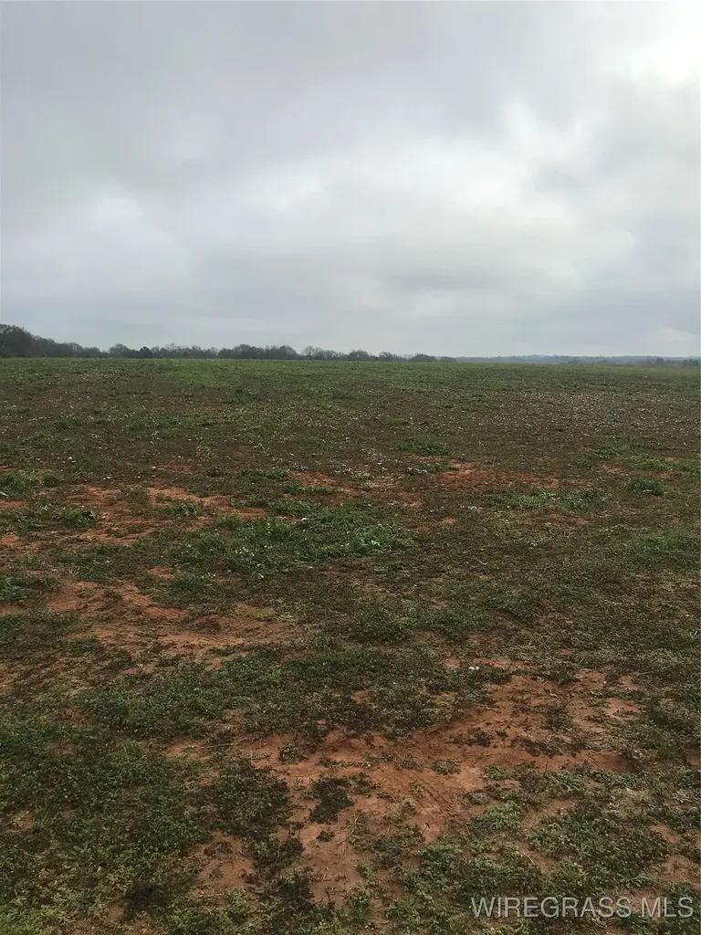 4050 County Road 708 Enterprise AL 36330