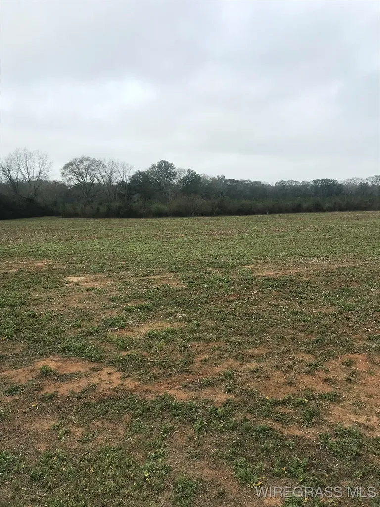 4050 County Road 708 Enterprise AL 36330