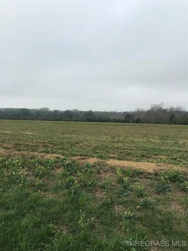 4050 County Road 708 Enterprise AL 36330