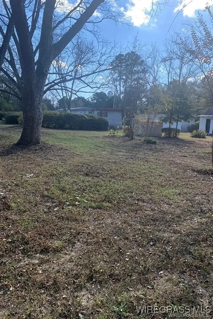220 County Road 401 Elba AL 36323