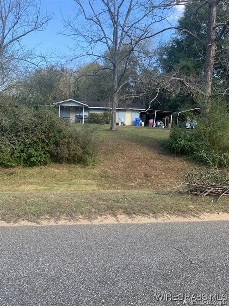 220 County Road 401 Elba AL 36323