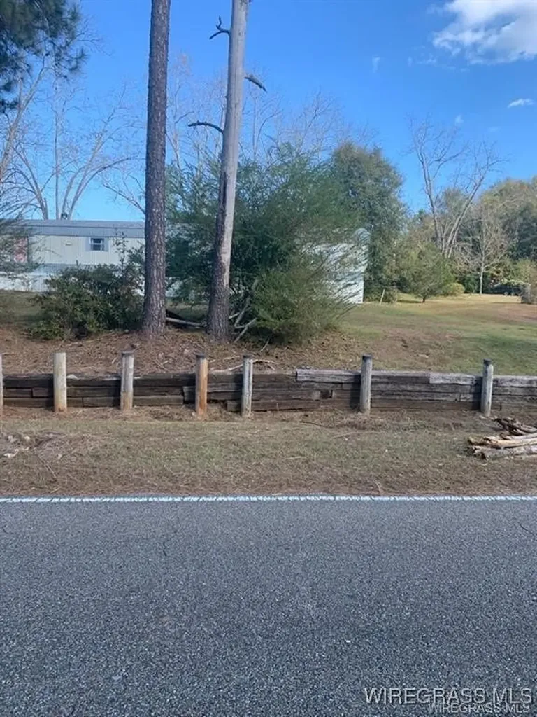 220 County Road 401 Elba AL 36323