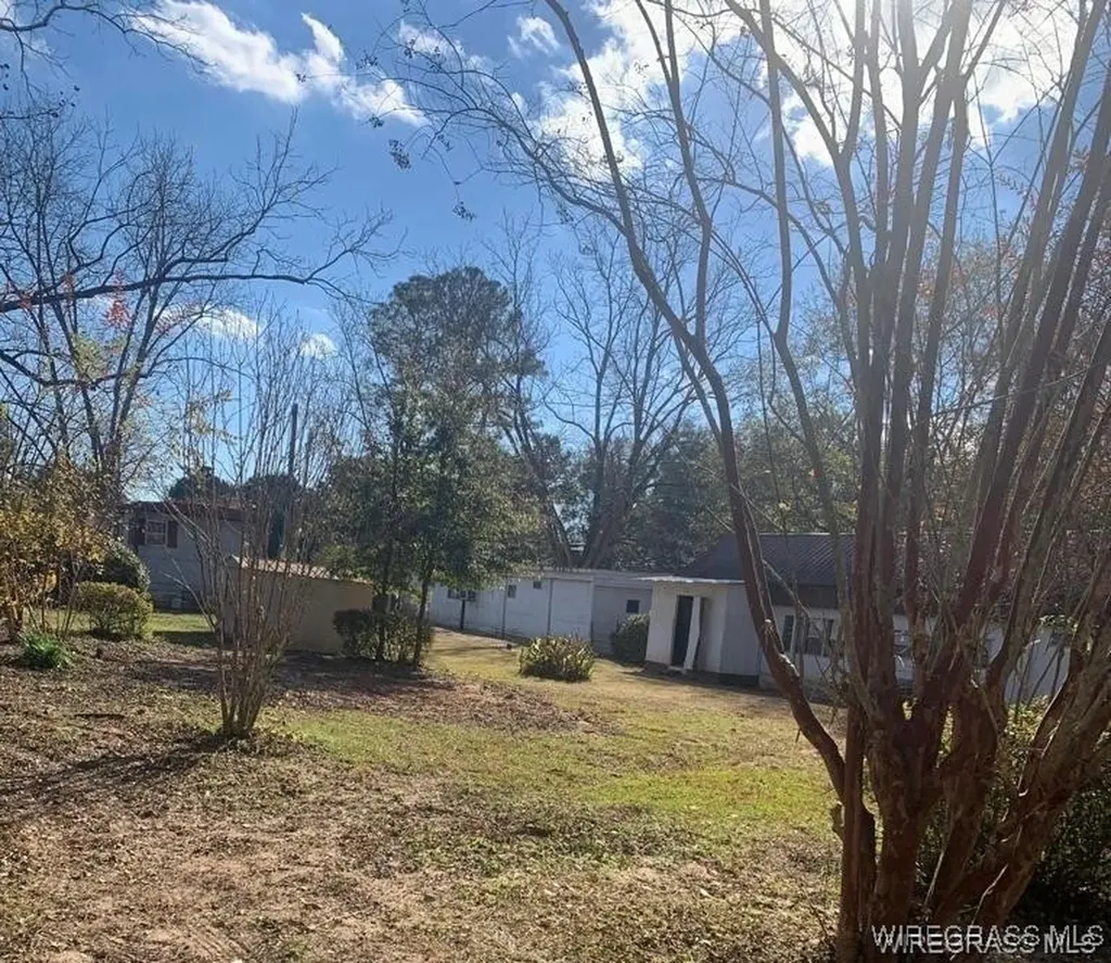 220 County Road 401 Elba AL 36323