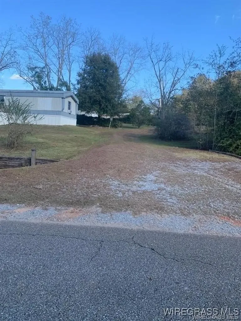220 County Road 401 Elba AL 36323