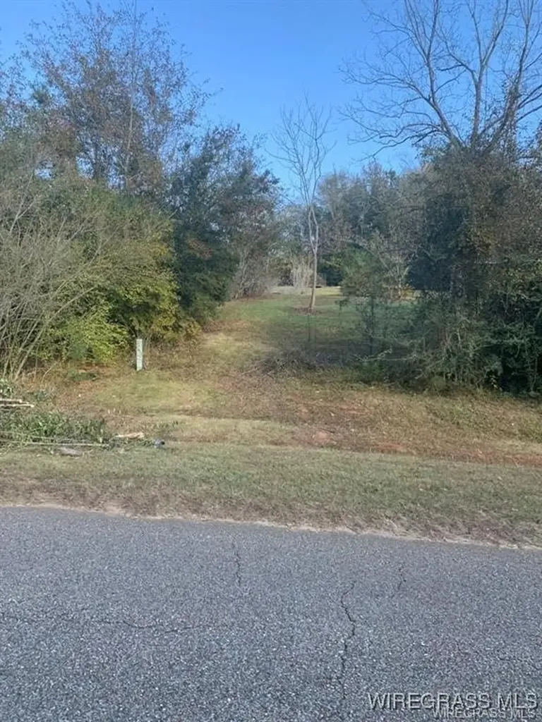 220 County Road 401 Elba AL 36323