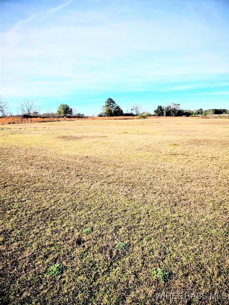 0 Abigail Court Daleville AL 36322
