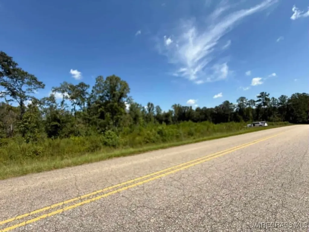 50 County Road 105 Jack AL 36346
