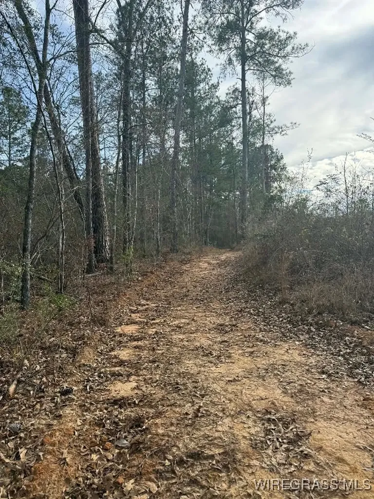 50 County Road 105 Jack AL 36346