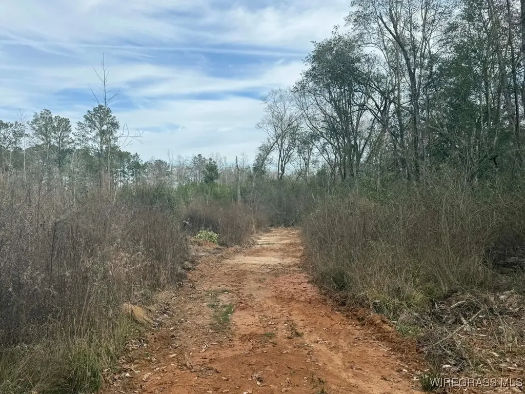 50 County Road 105 Jack AL 36346