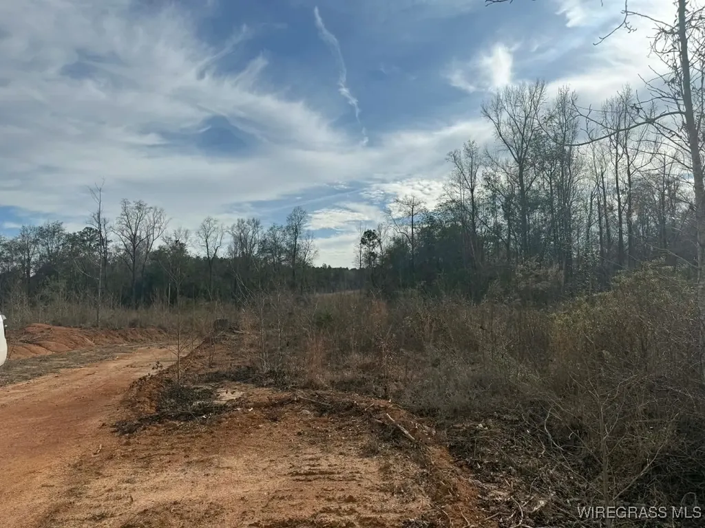 50 County Road 105 Jack AL 36346