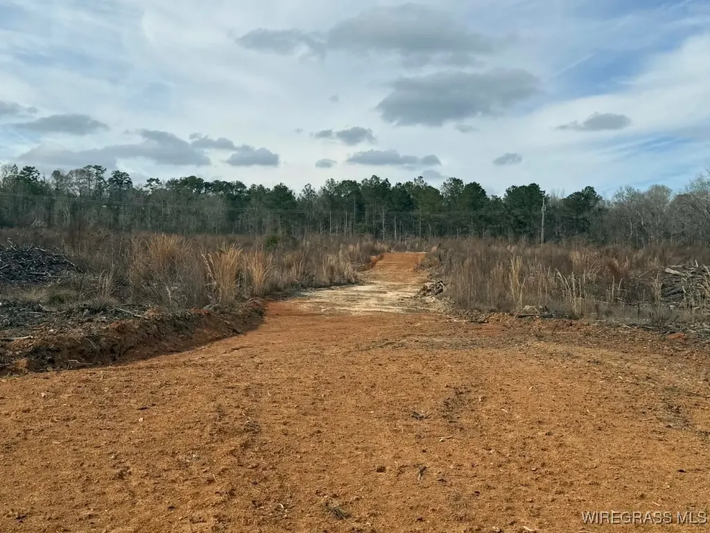 50 County Road 105 Jack AL 36346