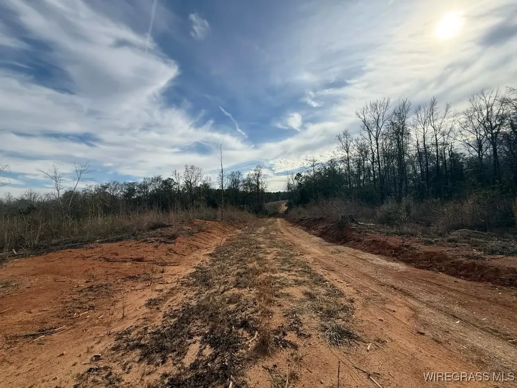 50 County Road 105 Jack AL 36346