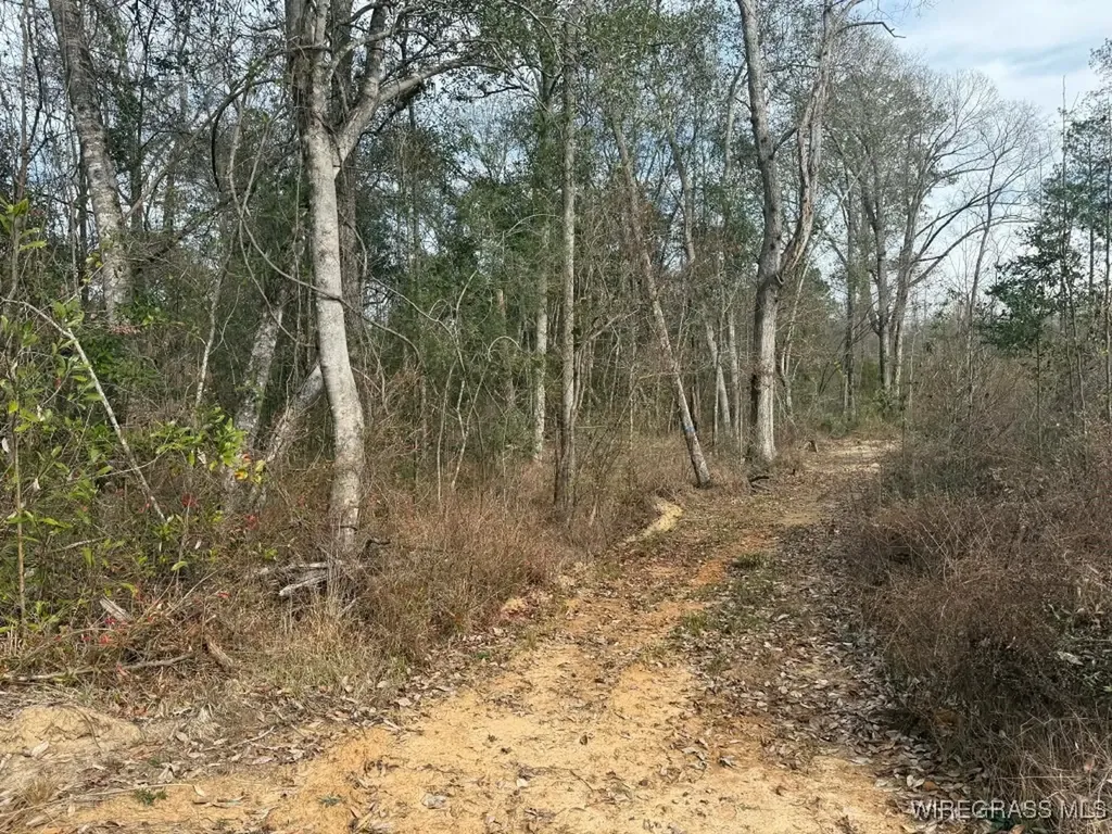 50 County Road 105 Jack AL 36346