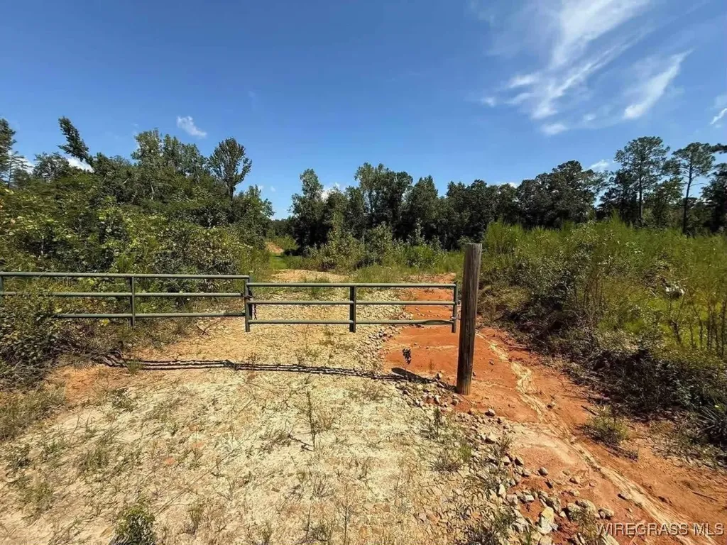 50 County Road 105 Jack AL 36346