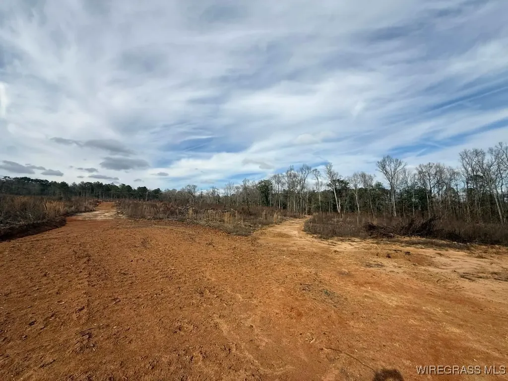 50 County Road 105 Jack AL 36346