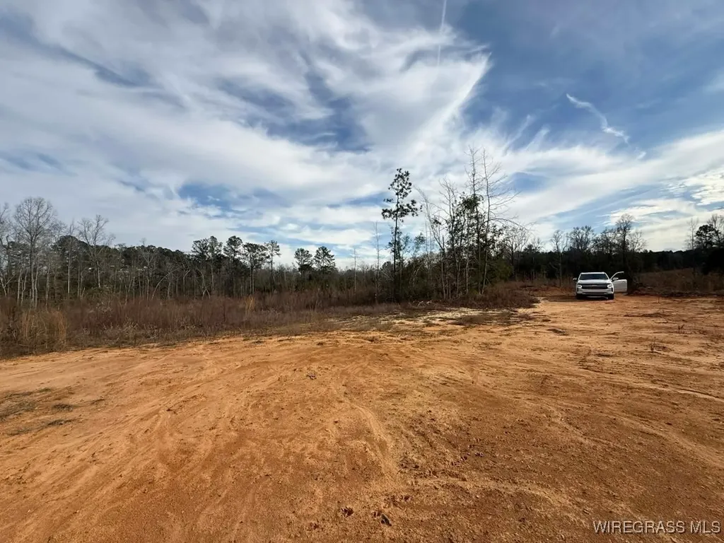 50 County Road 105 Jack AL 36346