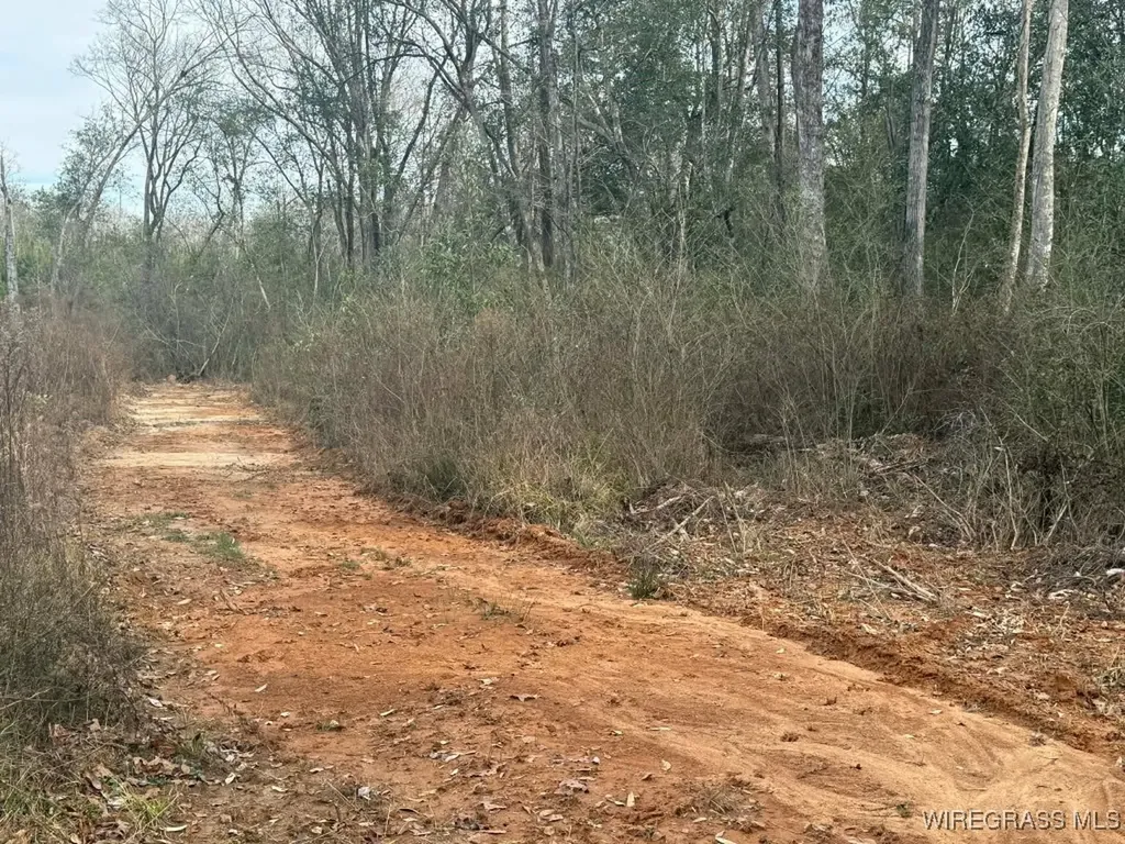 50 County Road 105 Jack AL 36346
