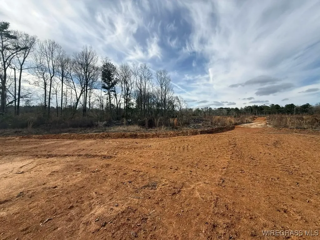 50 County Road 105 Jack AL 36346