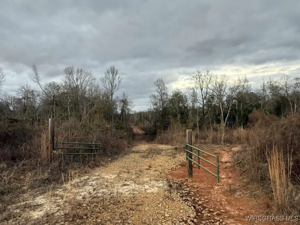 50 County Road 105 Jack AL 36346