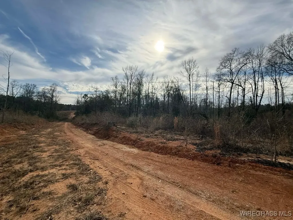 50 County Road 105 Jack AL 36346