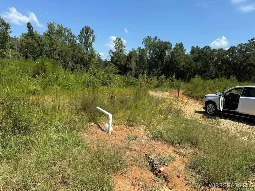 50 County Road 105 Jack AL 36346