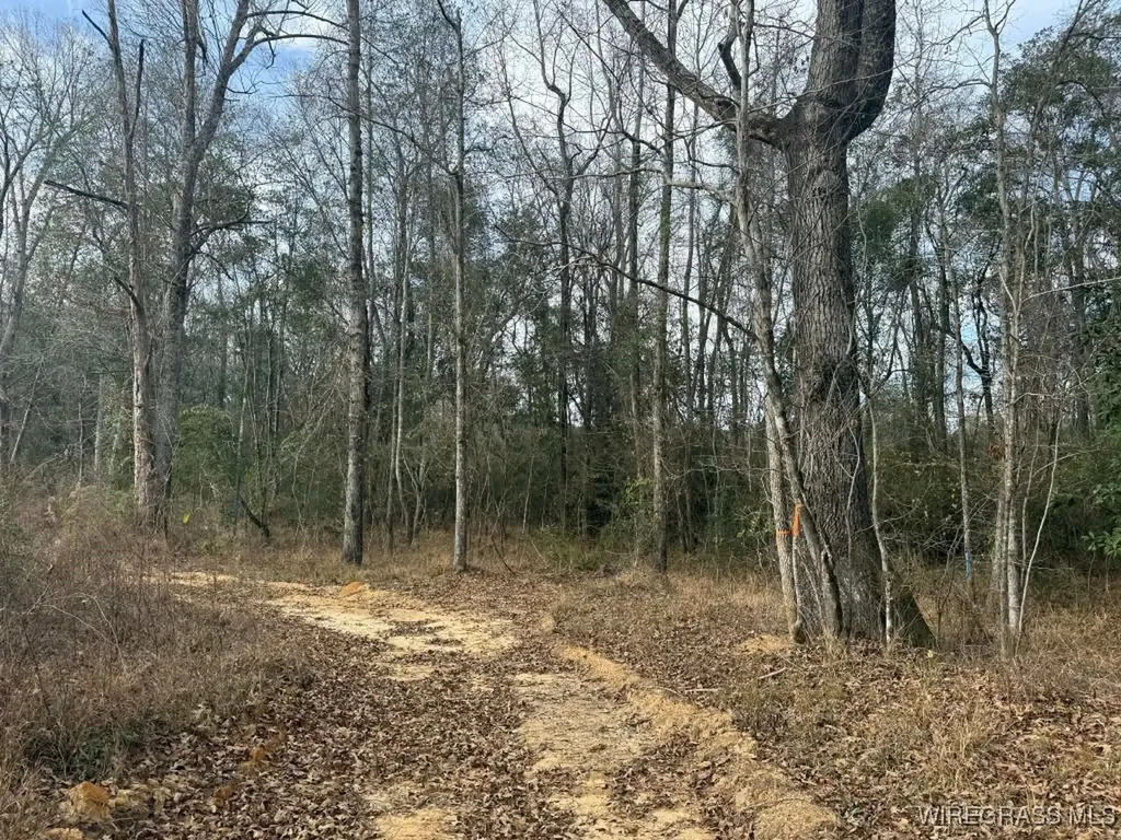50 County Road 105 Jack AL 36346