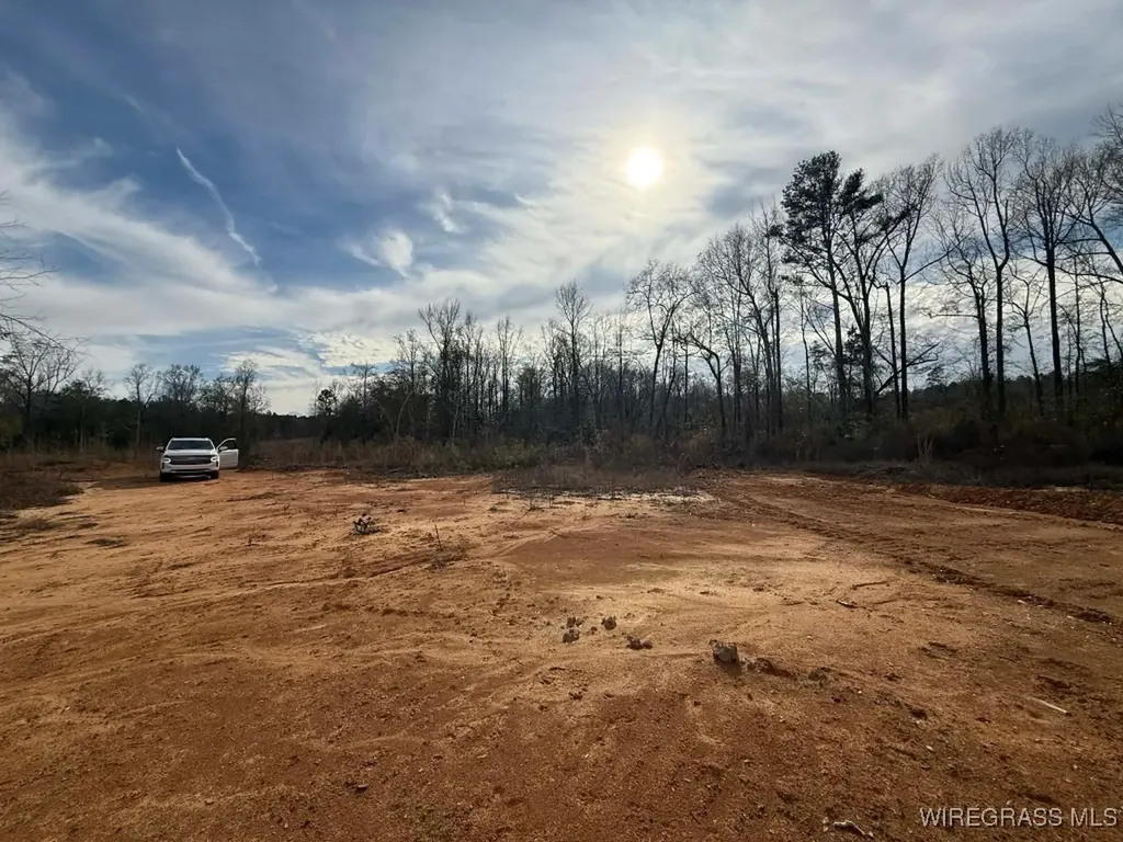 50 County Road 105 Jack AL 36346