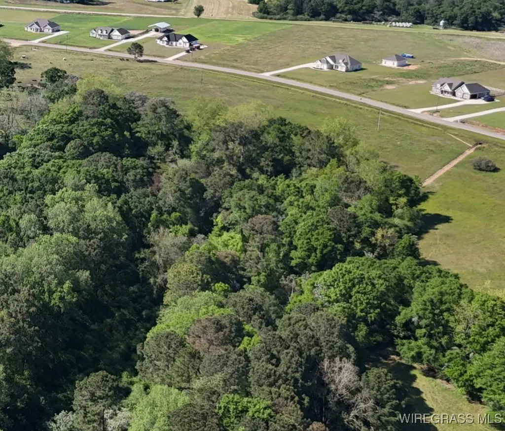 406 County Road 711 Enterprise AL 36330