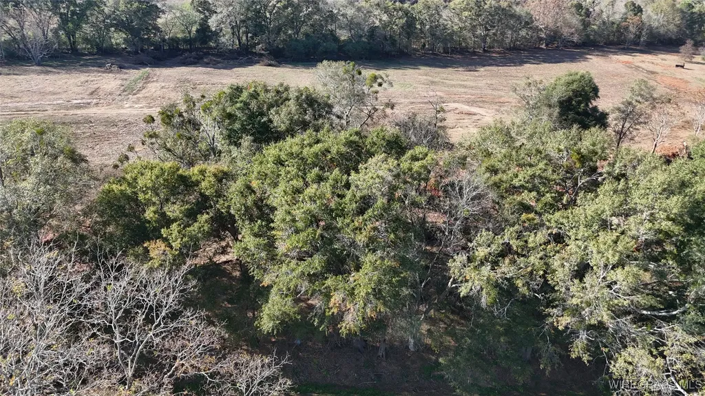 575 County Road 712 Frisco AL 36330