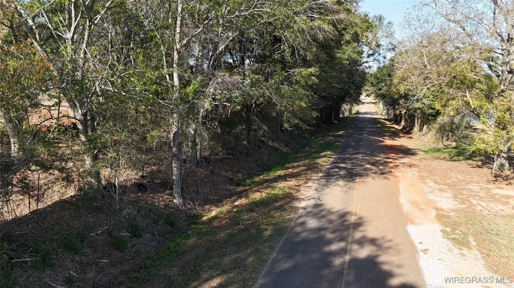 575 County Road 712 Frisco AL 36330